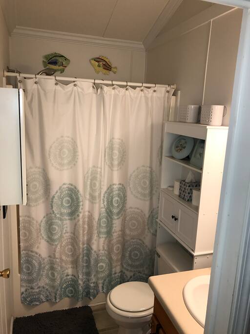 Storage above toilet and mirror cabinet