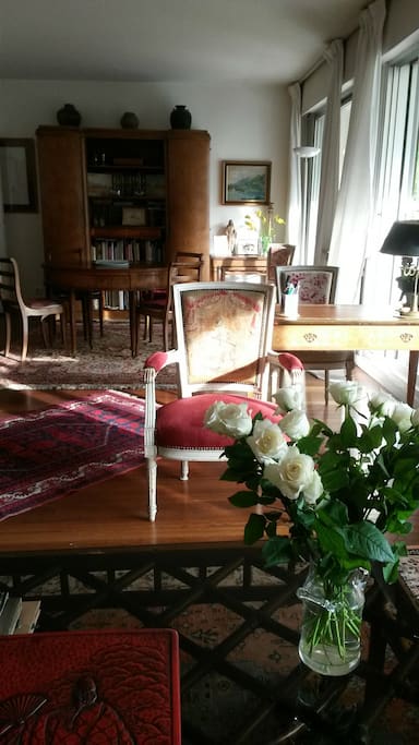 40m2 living area