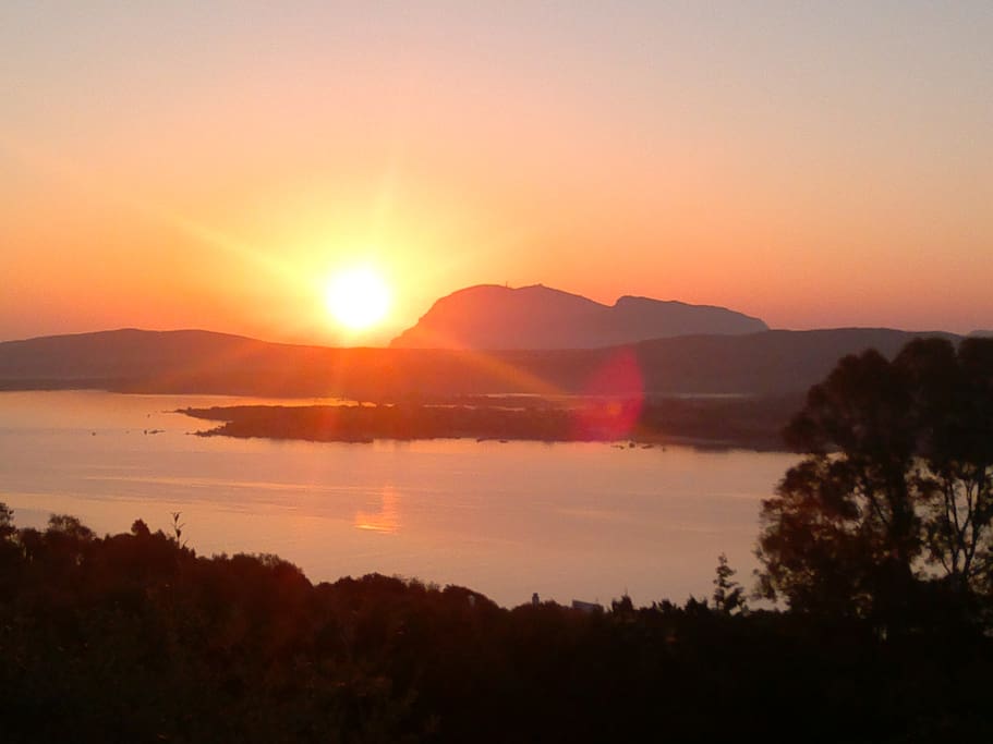 the view from the house