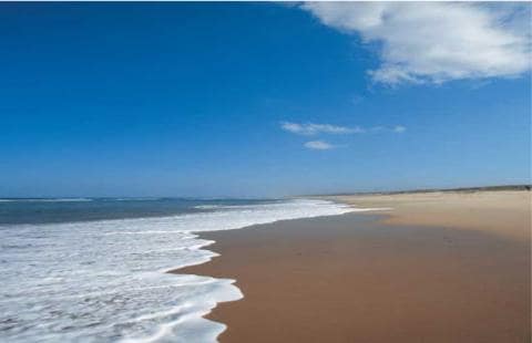 A serene beach scene is depicted, featuring gentle waves lapping against a golden sandy shore. The clear blue sky is punctuated by a few wispy clouds, creating a peaceful coastal atmosphere. The expansive shoreline stretches into the distance, inviting relaxation and enjoyment of the surrounding natural beauty.