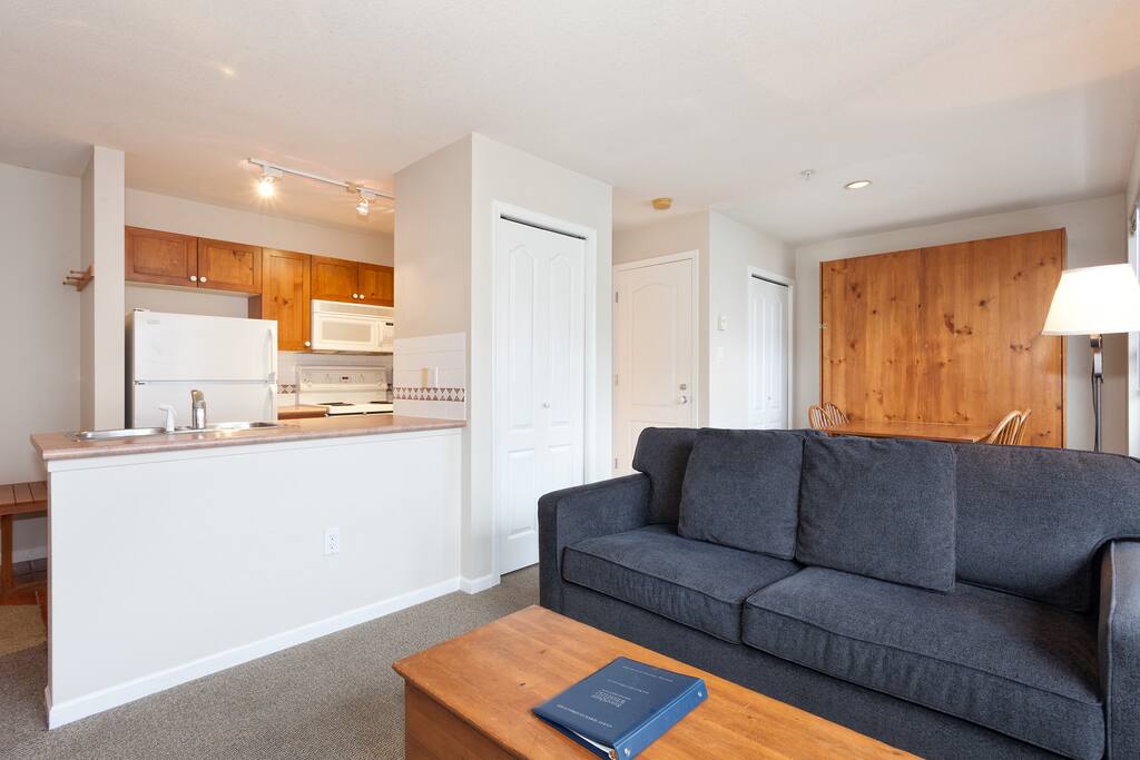 Murphy bed from and sofa bed