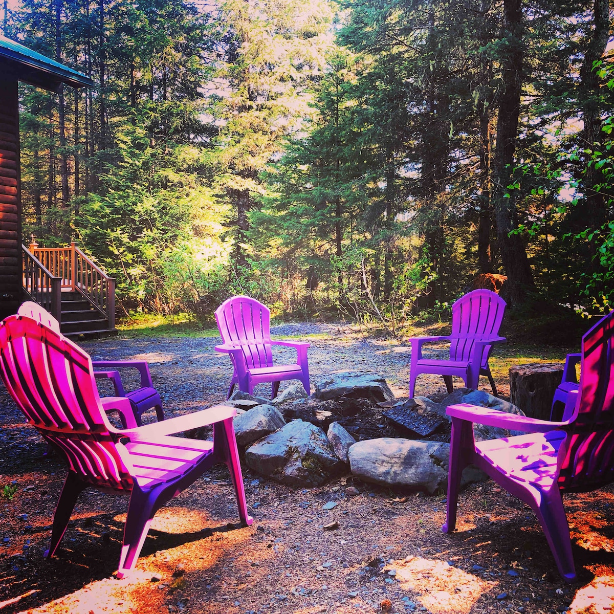 A circular arrangement of five purple Adirondack chairs surrounds a fire pit, nestled among tall trees. The ground is covered in soft earth and gravel, with scattered rocks enhancing the natural setting. Sunlight filters through the branches, creating a warm atmosphere.