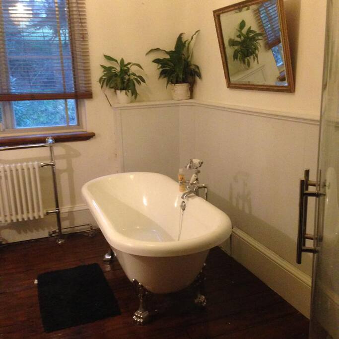 the shared bathroom