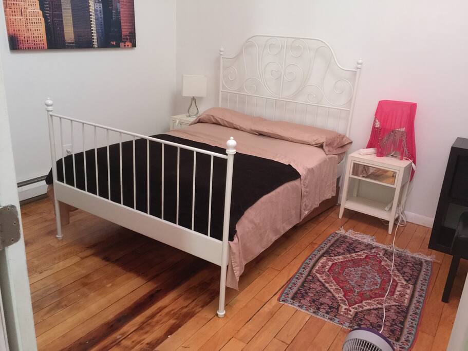 This bedroom has a large closet with lots of space and a skylight.