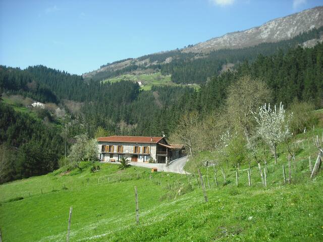 Casa rural Zulueta Nº de licencia: XSS00164