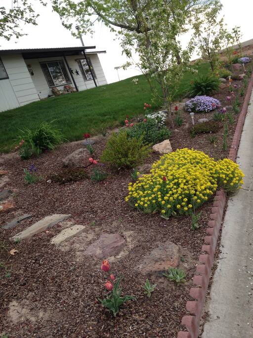 Front lawn