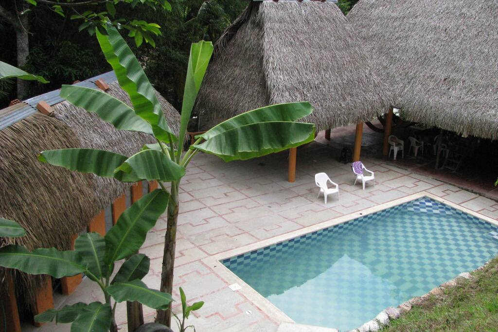 Piscina con agua natural que llega de un nacedero dentro de nuestra reserva