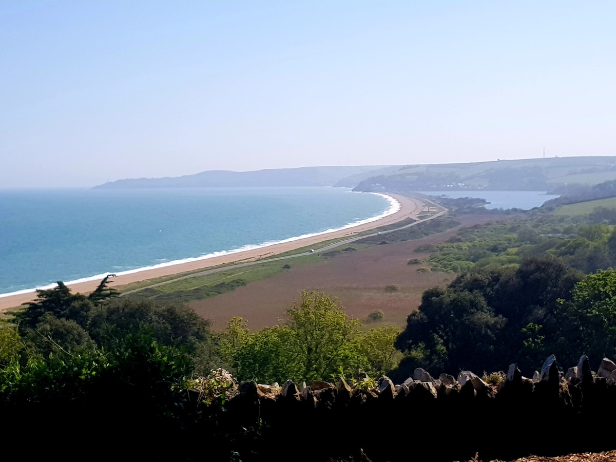 An expansive view of a sandy beach stretches along the coastline, bordered by lush greenery and coastal hills. The ocean reflects a bright blue sky, while gentle waves caress the shore. The scene captures the tranquility of the South Devon countryside meeting the sea.