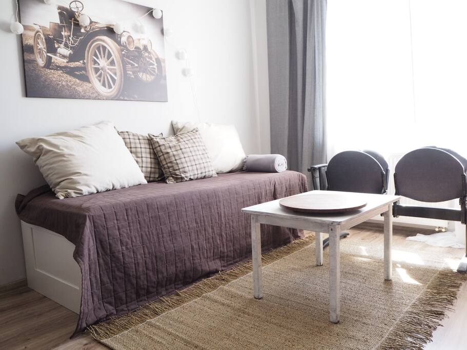 Living Area with sleeping Sofa for two person, facing to the park very quite.