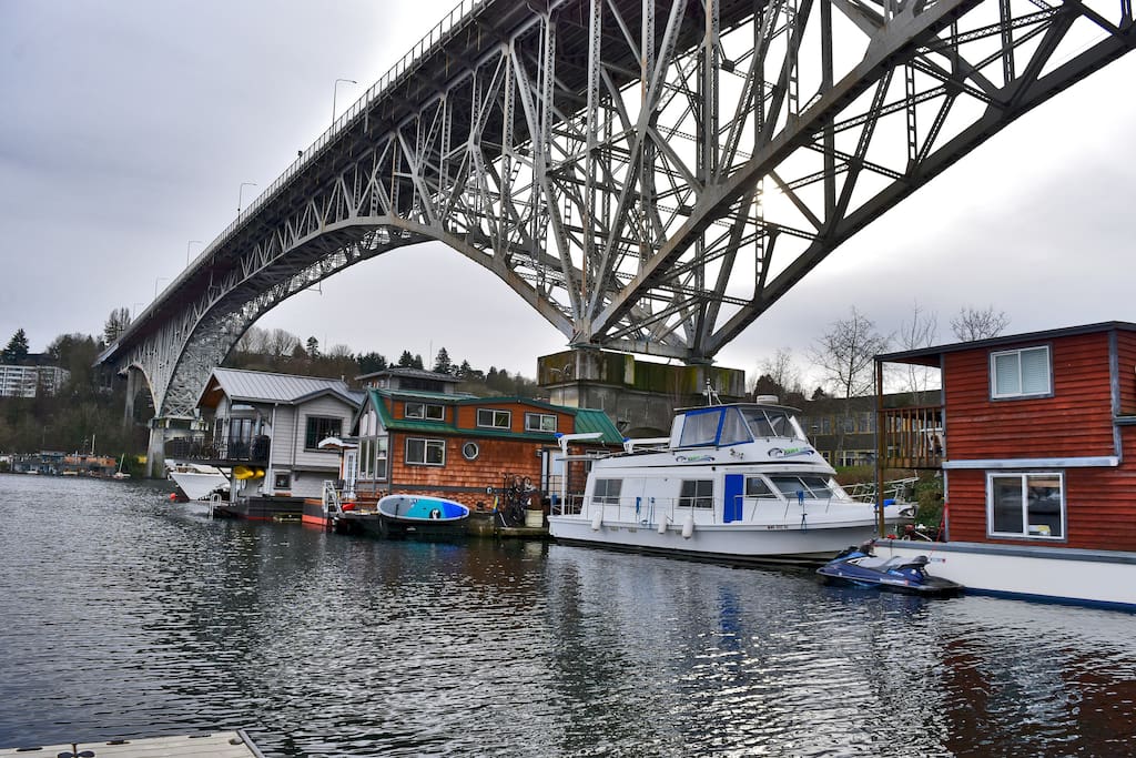 Hawk's nest located in a beautiful houseboat community.