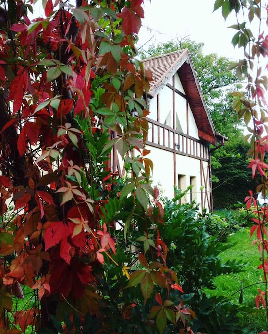Magical autumn at our place.