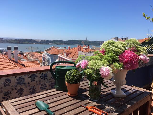 Magic view in old Lisbon luxury gallery image 2