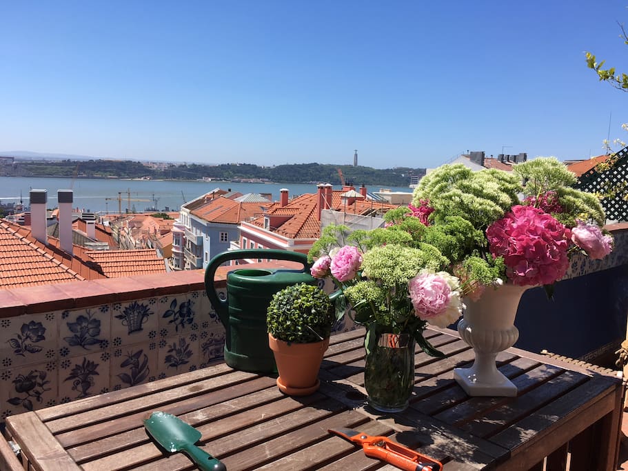 Gardening on the terrace