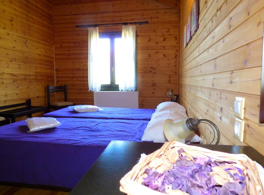 Bedroom area