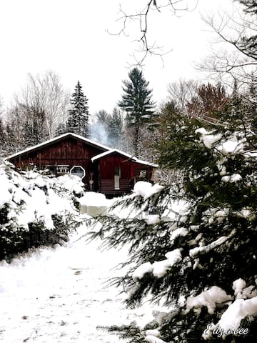 Airbnb Bear Lake Vacation Rentals Places To Stay Ontario