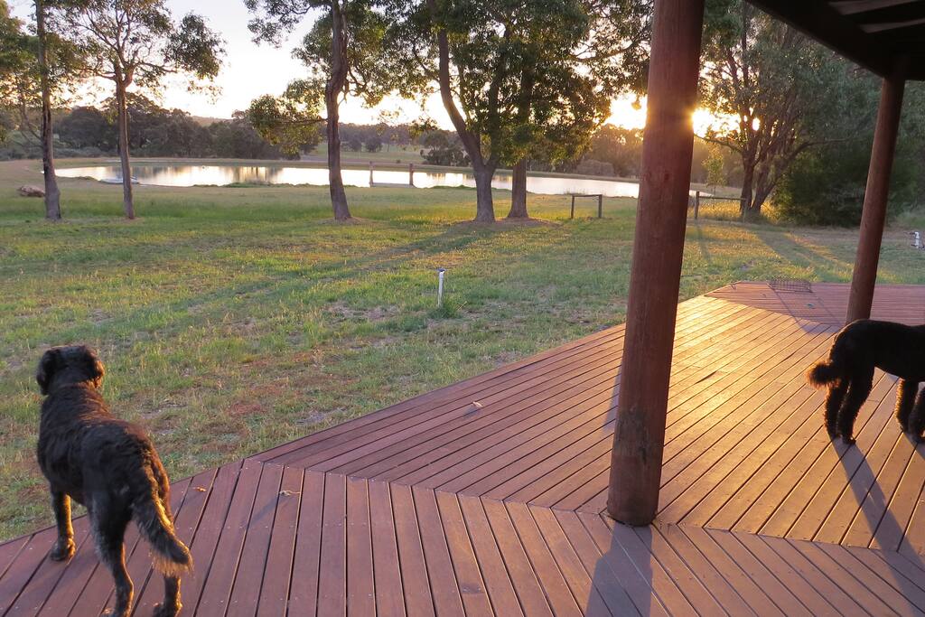 OUTLOOK FROM THE VERANDAH