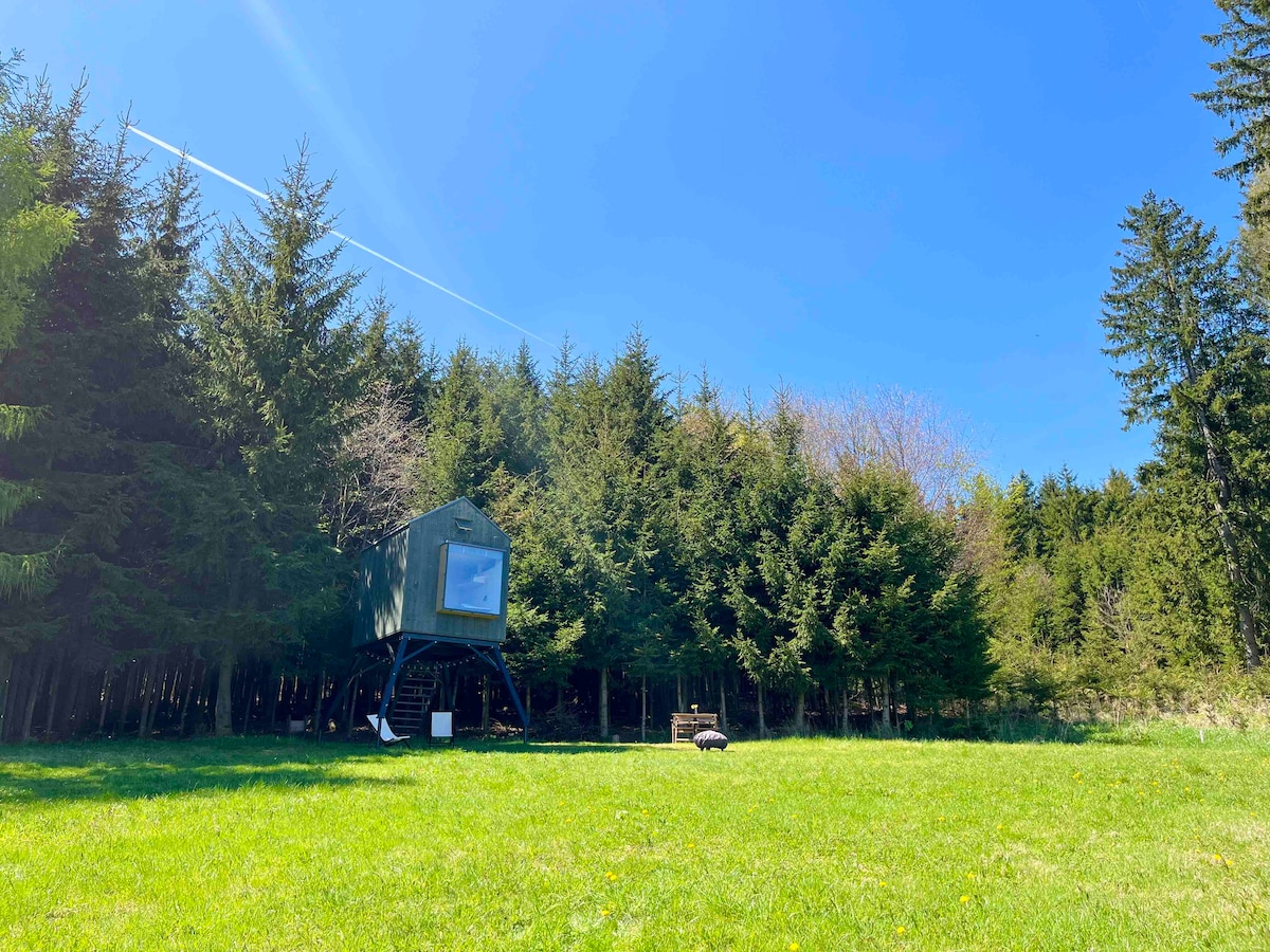 A green structure perched on stilts rests amid a lush field, surrounded by dense trees. The clear sky above allows sunlight to illuminate the scene, enhancing the natural greenery of the grass and forest.