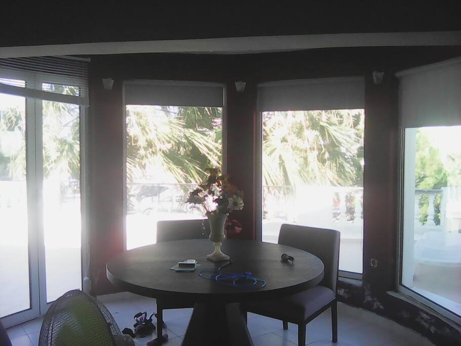 view from sitting room