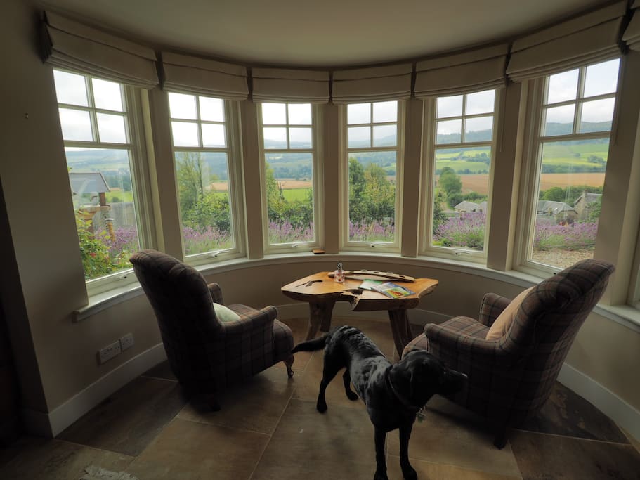 Relax and take in the views.