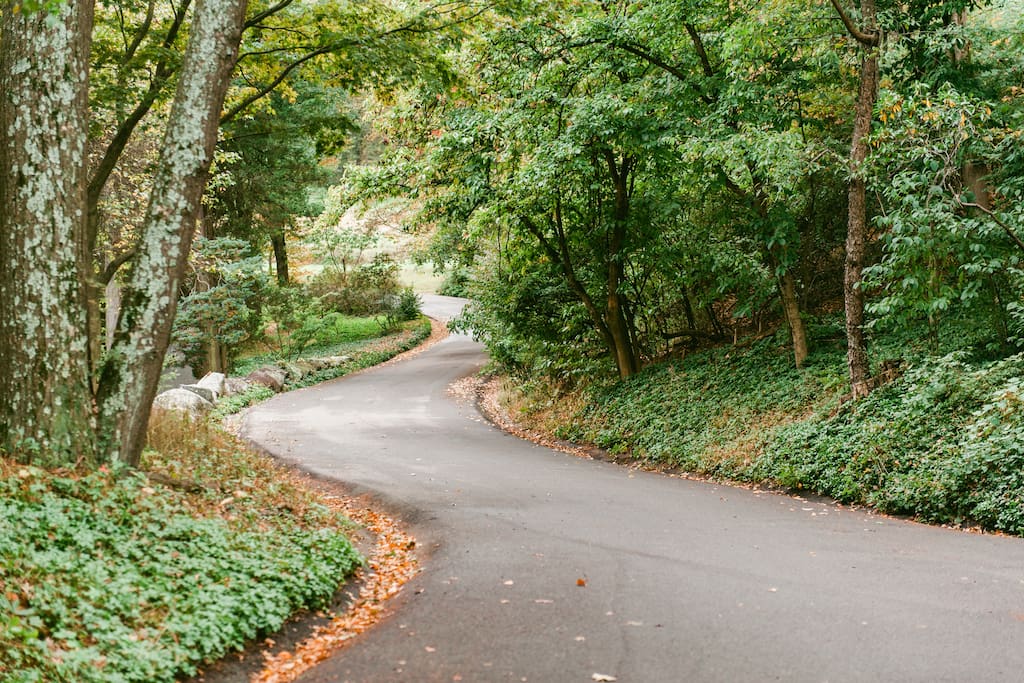 The winding drive to The Farmhouse