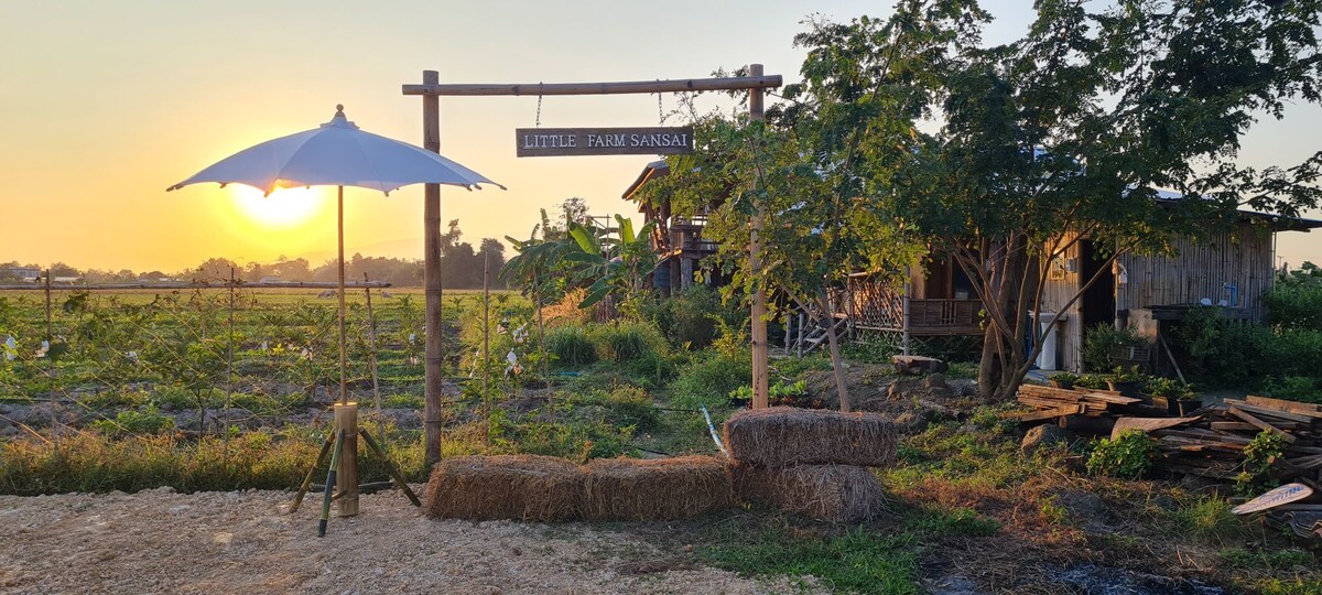 A wooden sign labeled 'Little Farm Sensai' is displayed under a large umbrella, with the sun setting in the background. The scene captures a rustic farm setting surrounded by lush greenery and fields, creating a serene outdoor environment.