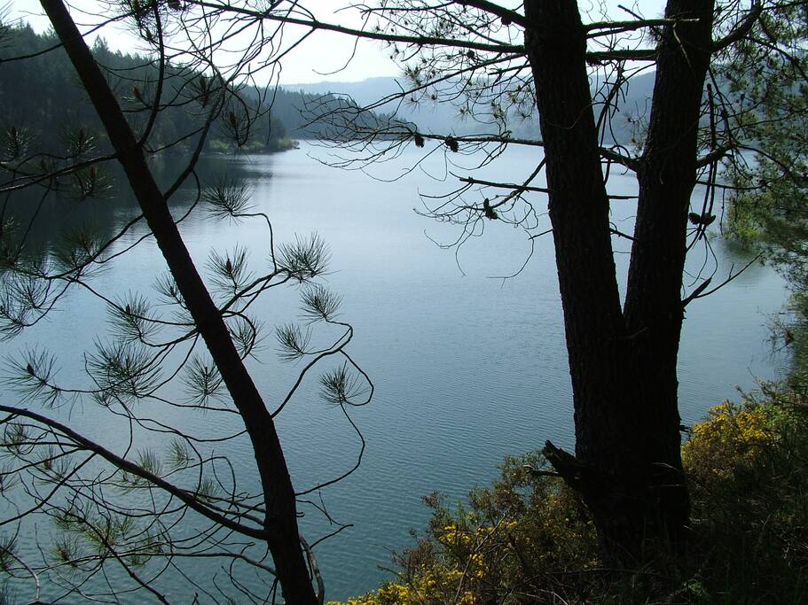 Lago na baragem