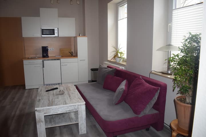 City Apartm. Mit Garten In Ruhiger Zentraler Lage - Cottbus