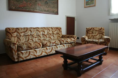 Popular Airbnb listing: 59 euro apartment in Cava Manara in Pavia