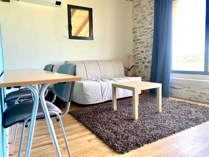 Bureau avec canapé convertible offrant la possibilité de faire une chambre avec un lit double. 
 