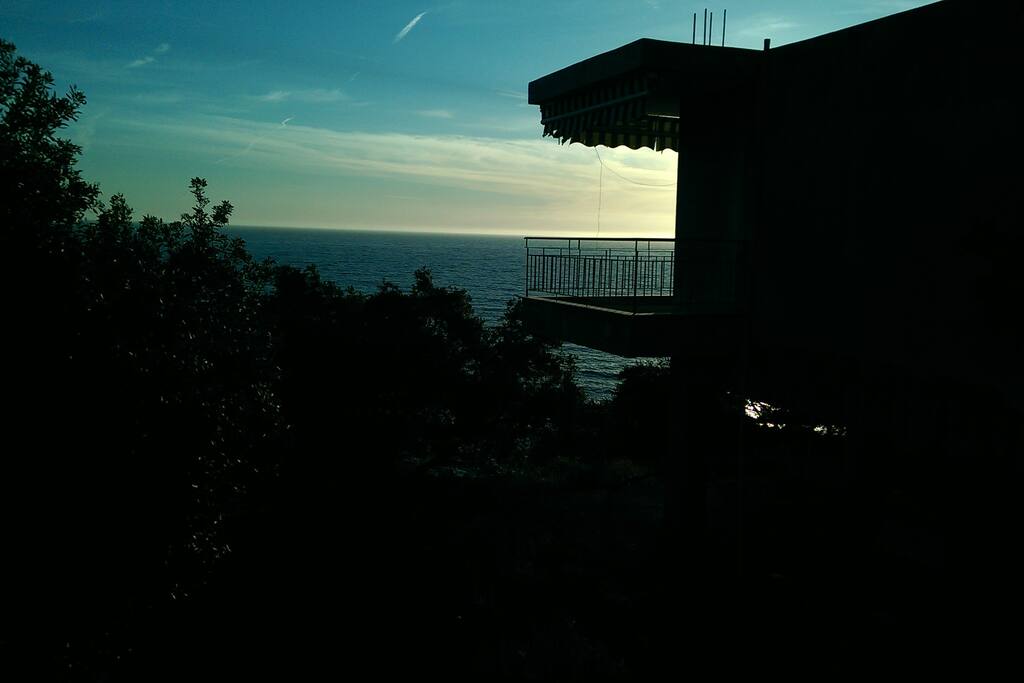 The house