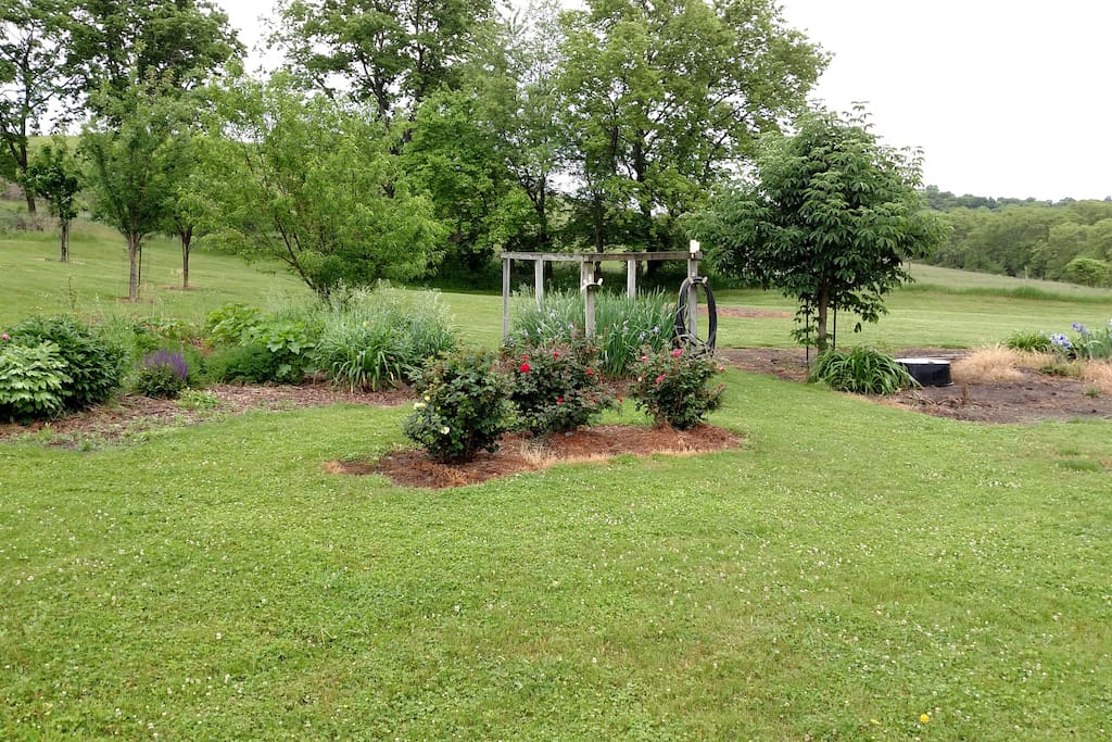 3 acre yard,