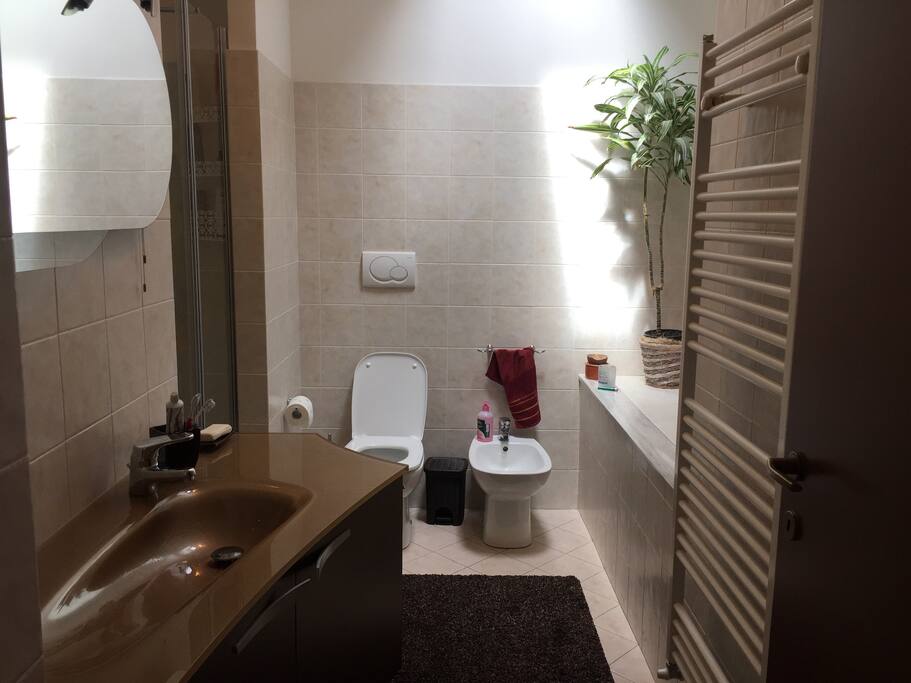 Bagno privato con doccia e finestra Velux