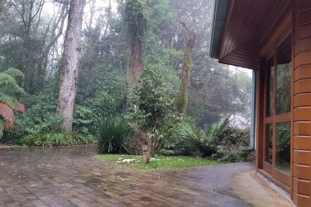Mata nativa nos fundos da casa.
