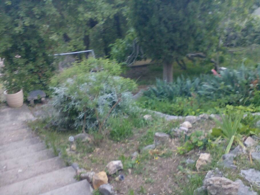 Jardin