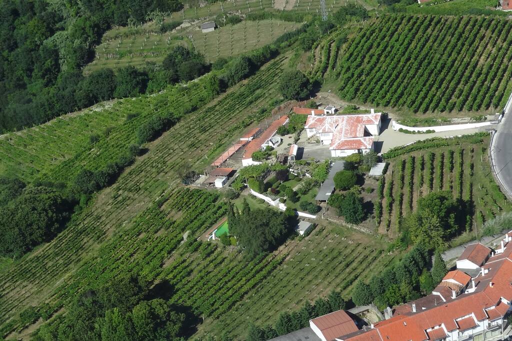 The estate