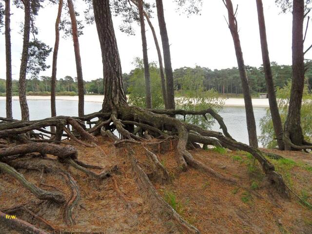 Enjoy nature, culture, peace and relaxation?