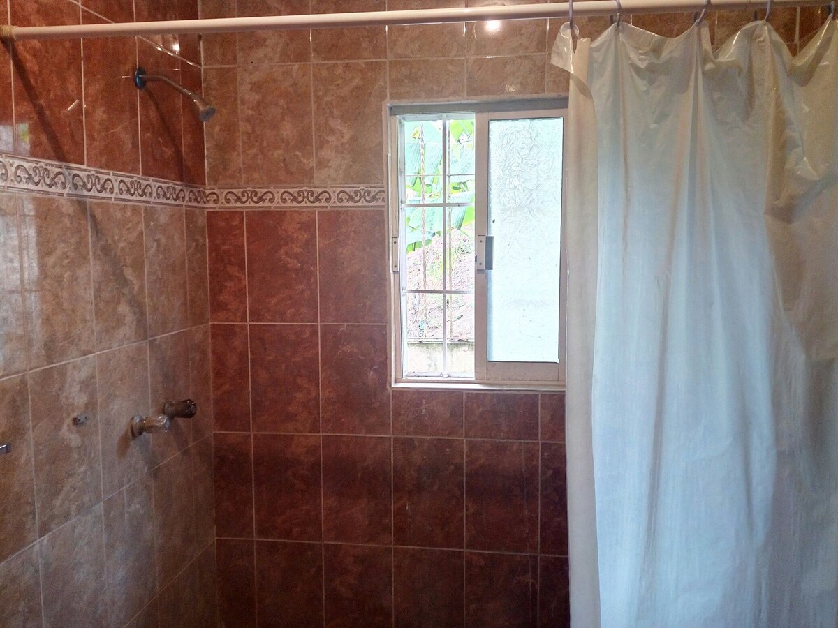 A shower area is presented with tiled walls in warm tones. A white curtain hangs, separating the space, while a small window provides natural light and a view of green foliage outdoors.
