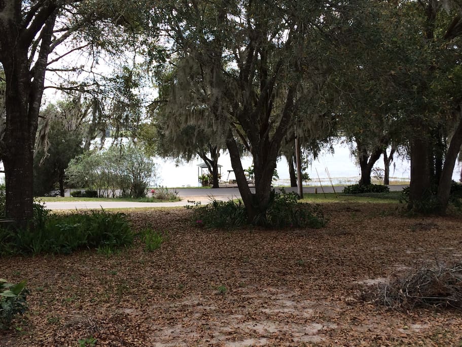 This is the view of our lake, Lake Pearl.