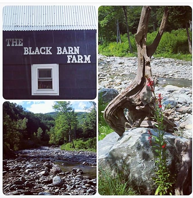 Apartment is housed on the Black Barn Farm along the Joiner Brook.
