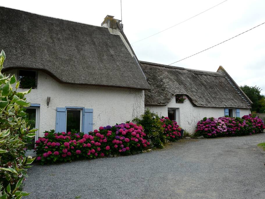 chaumière rénovée
thatched cottage