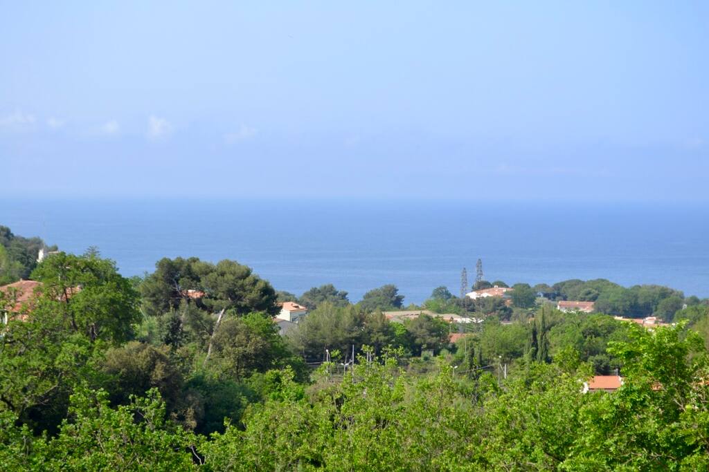Panorama