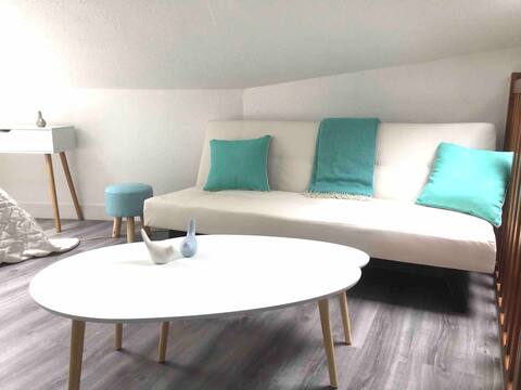 Popular Airbnb listing: Favorite Duplex in Bourg en Bresse city center in Bourg En Bresse