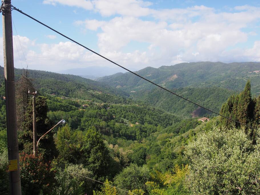 panorama