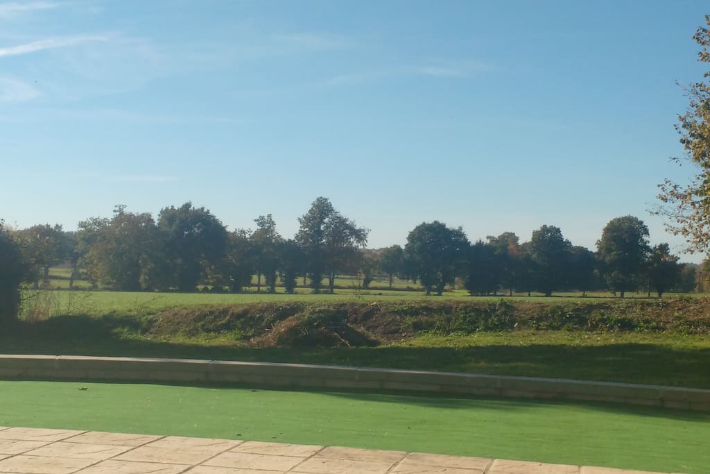 view from the patio.Astro turf for the kids to put the paddling pool