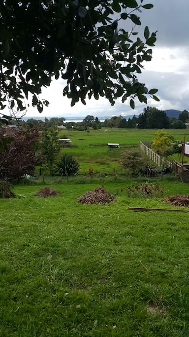 Views of lake Rotorua and Mokoia Island beyond the farmland .
