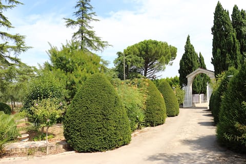 Villa giardino e piscina

CIN:
IT072011C200090063