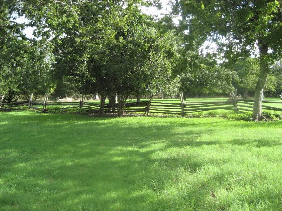 Welcome to Our Guest House, Out of the Blue.
We would like to offer our guest house to traveling families, couples and folks who want to get away. Out of the Blue is the guest house of the The Old Cavitt House Homestead. This historic Republic of Texas Homestead first began in 1836, by Ann Cavitt, and is currently referred to as the "Old Cavitt House". This "Texanna" style home is located in the quiet, serene community of Wheelock Texas, Robertson County, just a short drive from Bryan-College Station and Texas A&M University. Before beginning construction on the house, the Cavitt family first built a small, rugged cabin which still stands on the property today.
Our guest house is a one bedroom, one bath, log cabin. We have a queen size pull-out couch, a twin daybed with a twin trundle and we have a queen size blow-up bed, if needed.