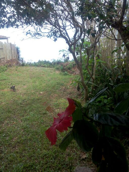 Gramado de frente pra praia