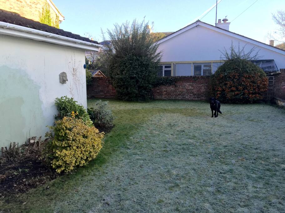 Dog not included!