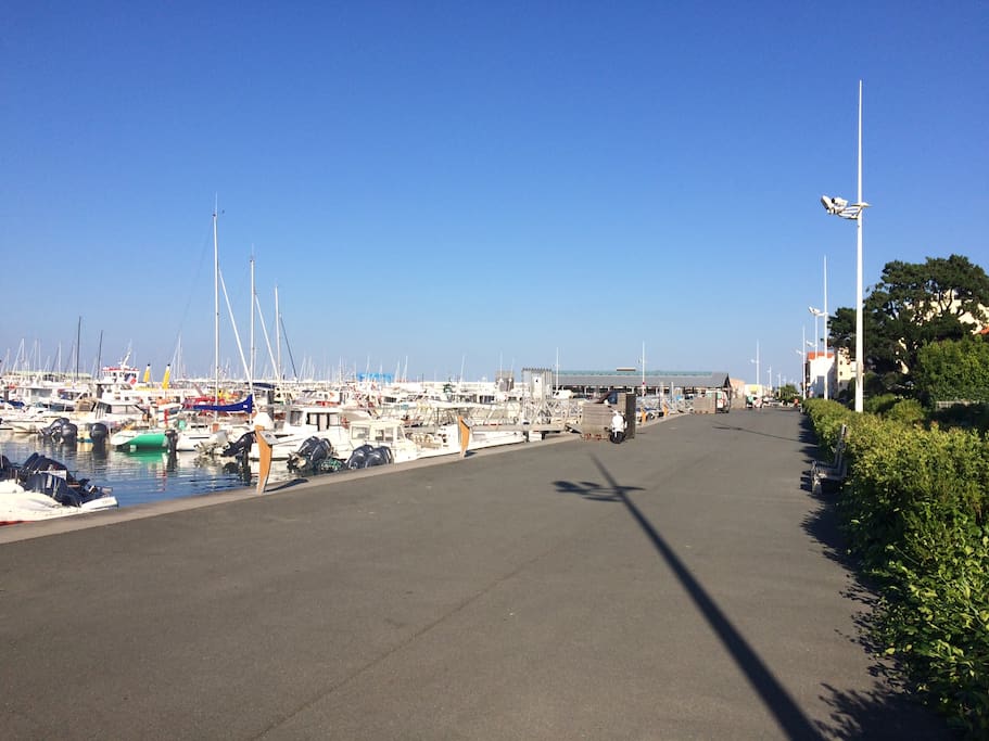 Promenade du port